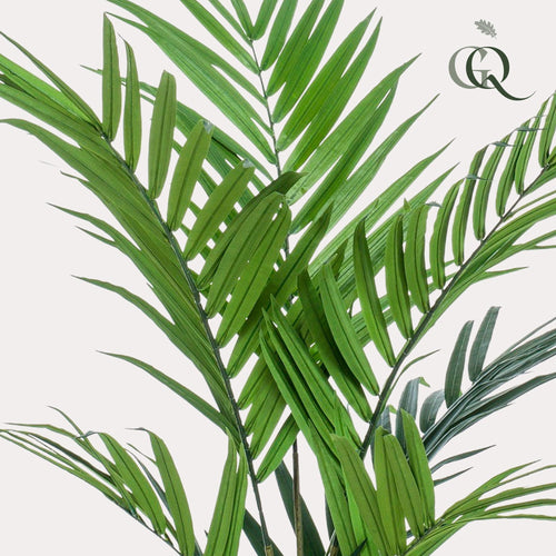 Artificial Kentia Palm  - 180cm