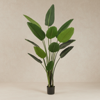 Artificial Strelitzia Nicolai (Bird of Paradise) - 190cm