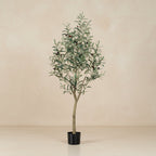 Artificial Olive Tree (Olea Europaea) - 140cm