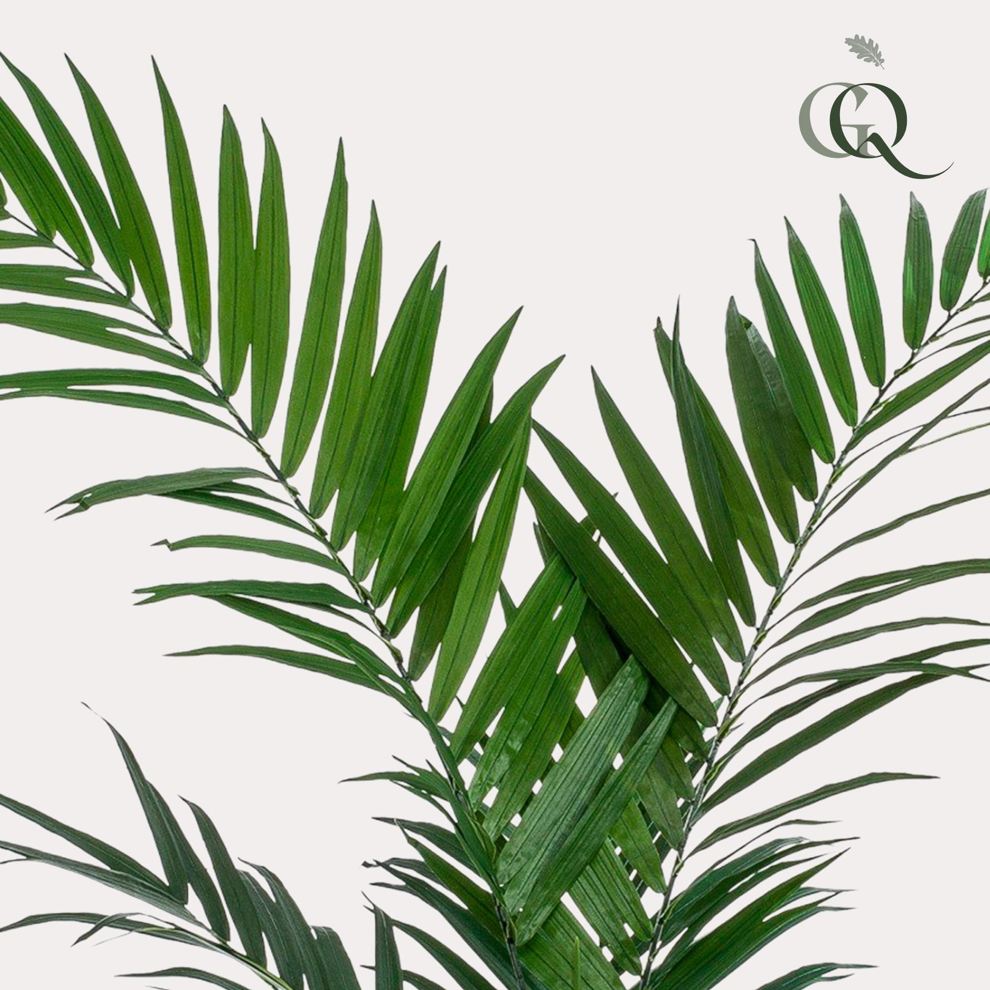 Artificial Kentia Palm - 150cm