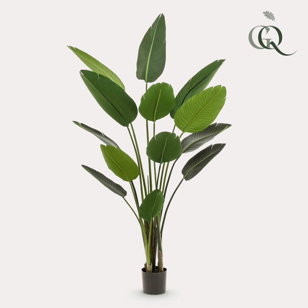 Artificial Strelitzia Nicolai (Bird of Paradise) - 190cm