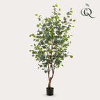 Artificial Eucalyptus Tree (Blue Gum)  - 140cm