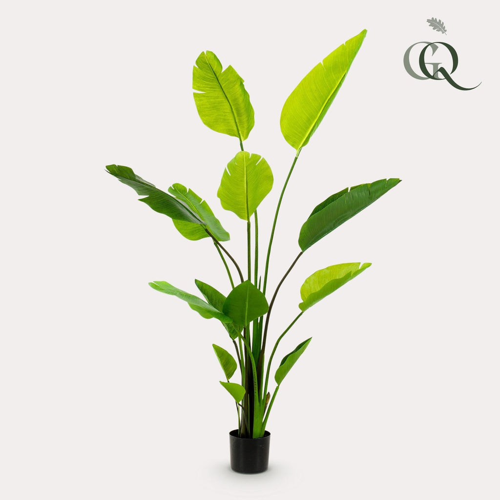 Artificial Strelitzia Nicolai (Bird of Paradise) - 150cm