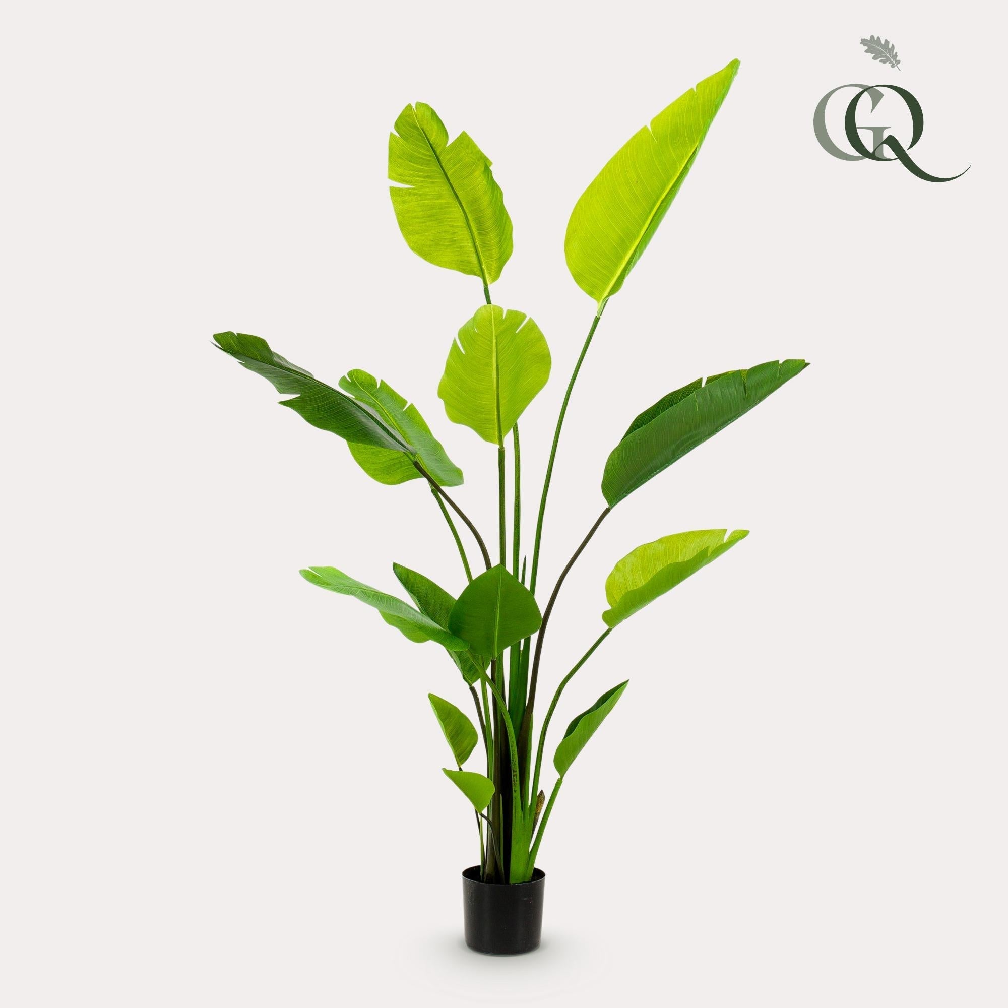 Artificial Strelitzia Nicolai (Bird of Paradise) - 150cm