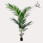 Artificial Kentia Palm - 150cm