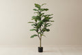 Artificial Ficus Lyrata (Fiddle Leaf Fig) - 120cm