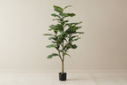 Artificial Ficus Lyrata (Fiddle Leaf Fig) - 120cm