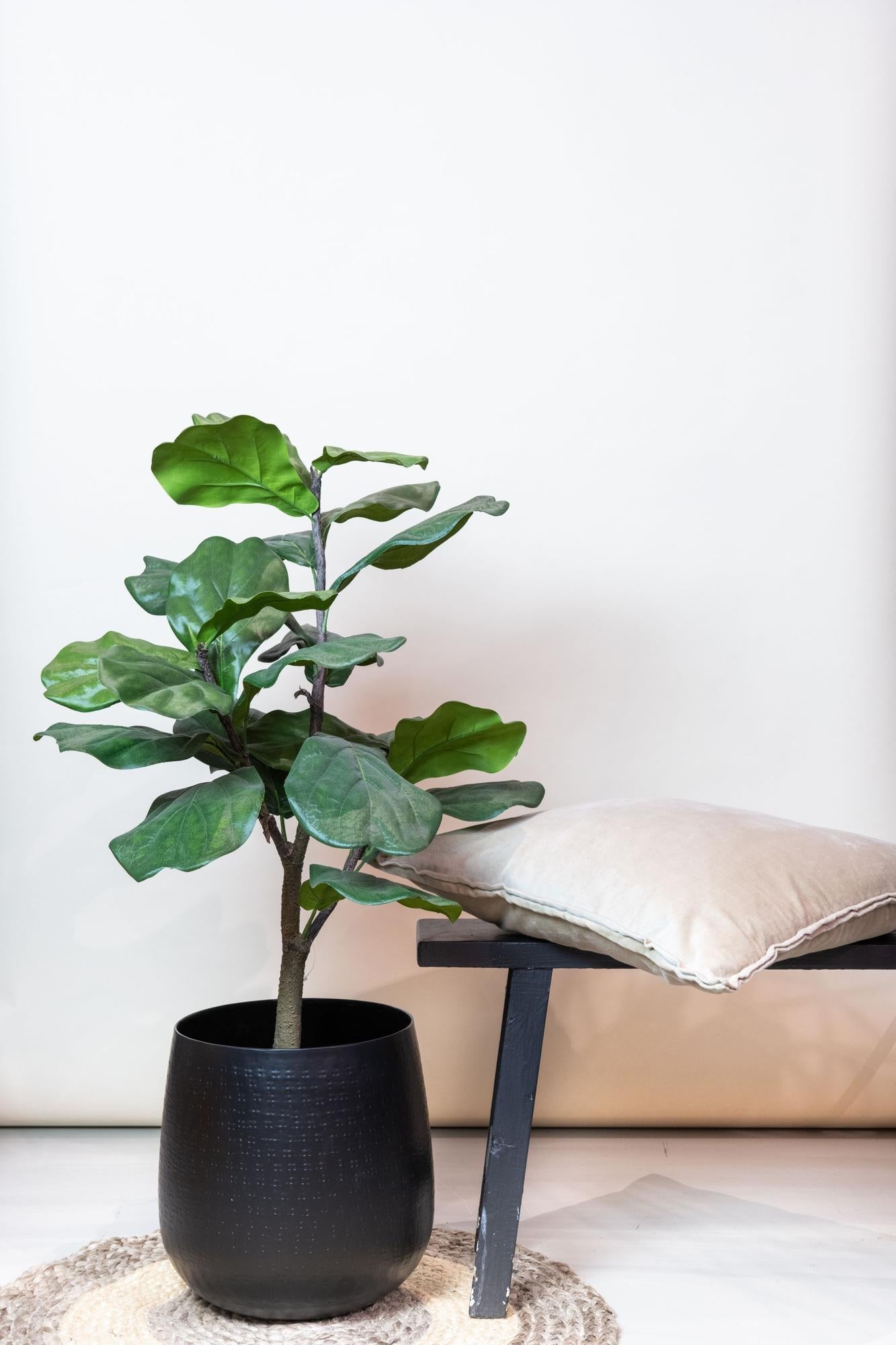 Artificial Ficus Lyrata (Tobacco Plant / Fiddle Leaf Fig) - 90cm