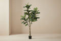 Artificial Ficus Lyrata (Tobacco Plant) - 180cm