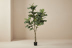 Artificial Ficus Lyrata (Tobacco Plant) - 180cm