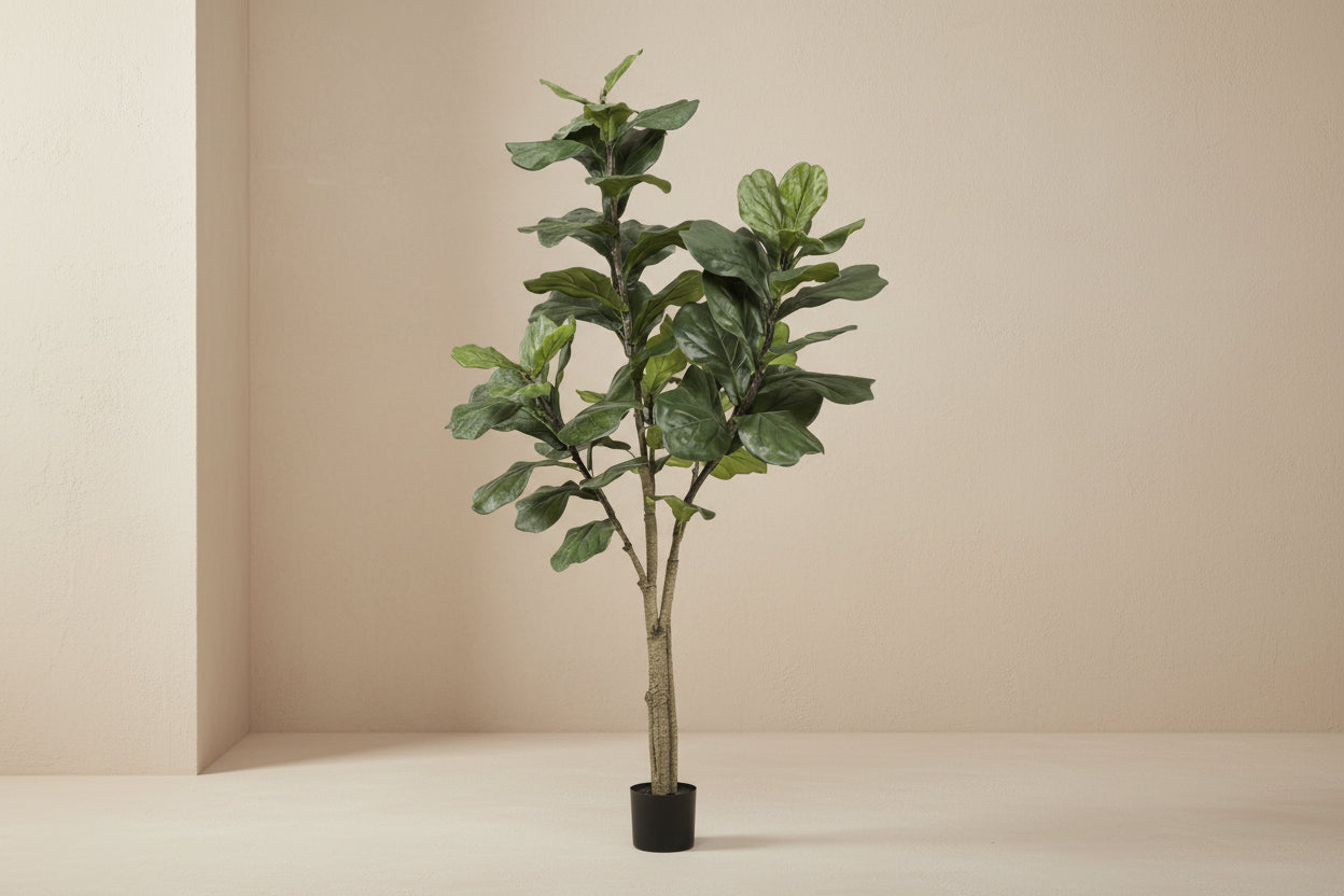 Artificial Ficus Lyrata (Tobacco Plant) - 180cm