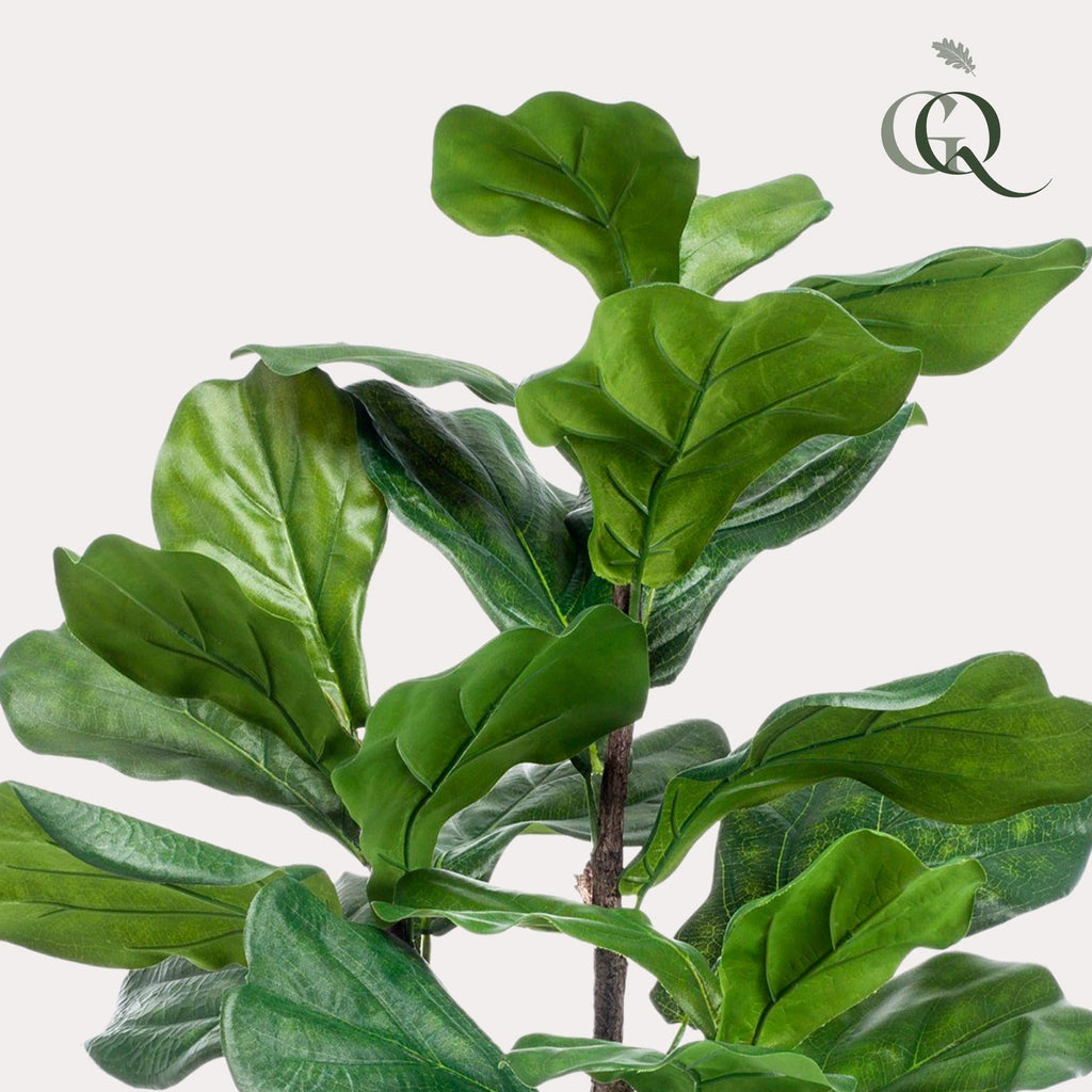 Artificial Ficus Lyrata (Tobacco Plant / Fiddle Leaf Fig) - 90cm