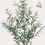 Artificial Olive Tree (Olea Europaea) - 115cm
