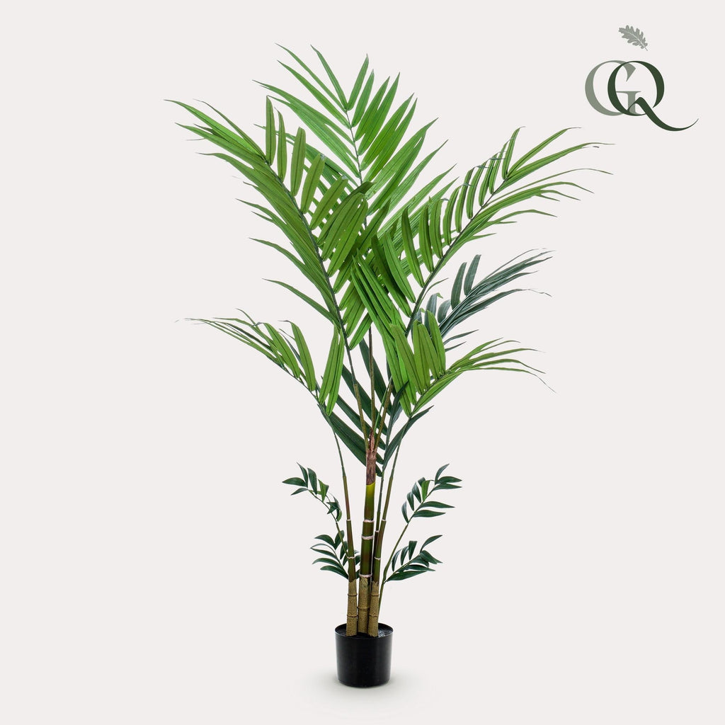 Artificial Kentia Palm  - 180cm