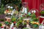Cosy Christmas terrarium - Bottle garden DIY kit - Ø 23 cm ↑ 25 cm