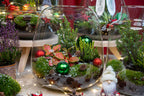 Berry Christmas terrarium - Bottle garden DIY kit - Ø 19 cm ↑ 20 cm