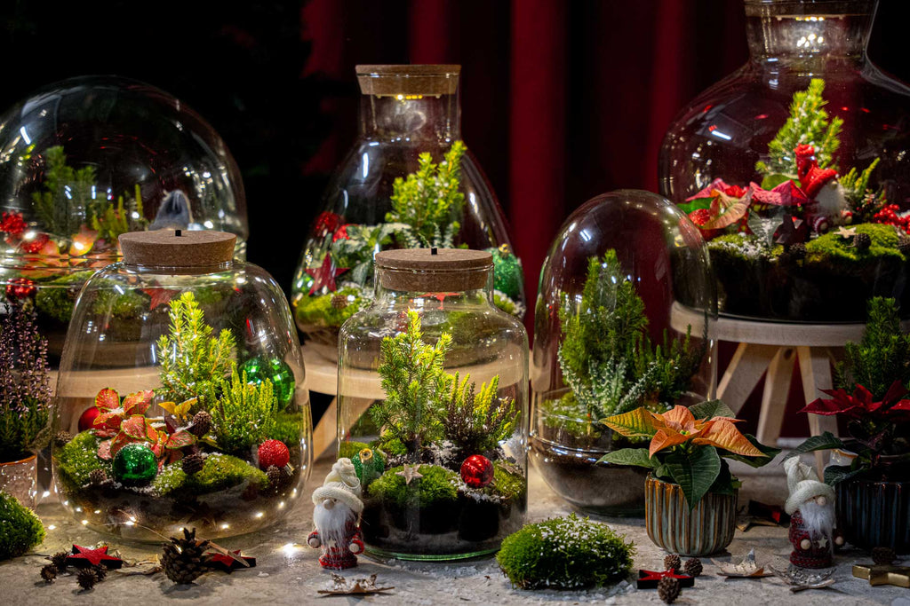Cosy Christmas terrarium - Bottle garden DIY kit - Ø 23 cm ↑ 25 cm