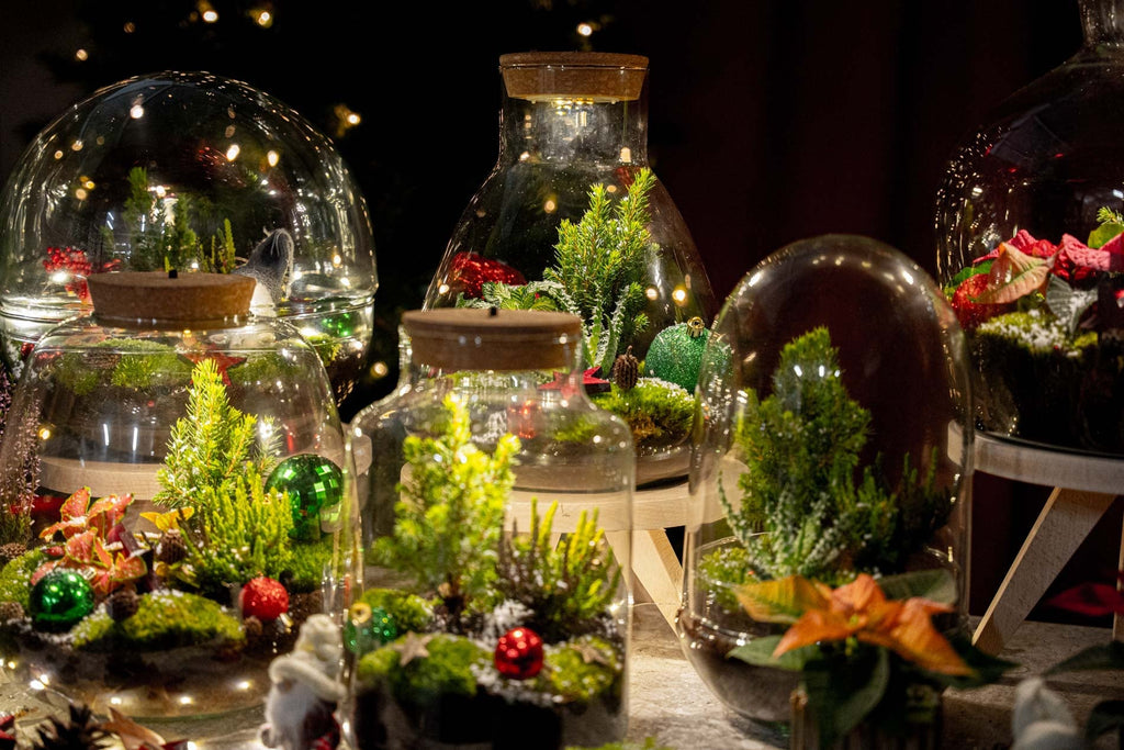Berry Christmas terrarium - Bottle garden DIY kit - Ø 19 cm ↑ 20 cm