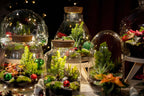 Berry Christmas terrarium - Bottle garden DIY kit - Ø 19 cm ↑ 20 cm