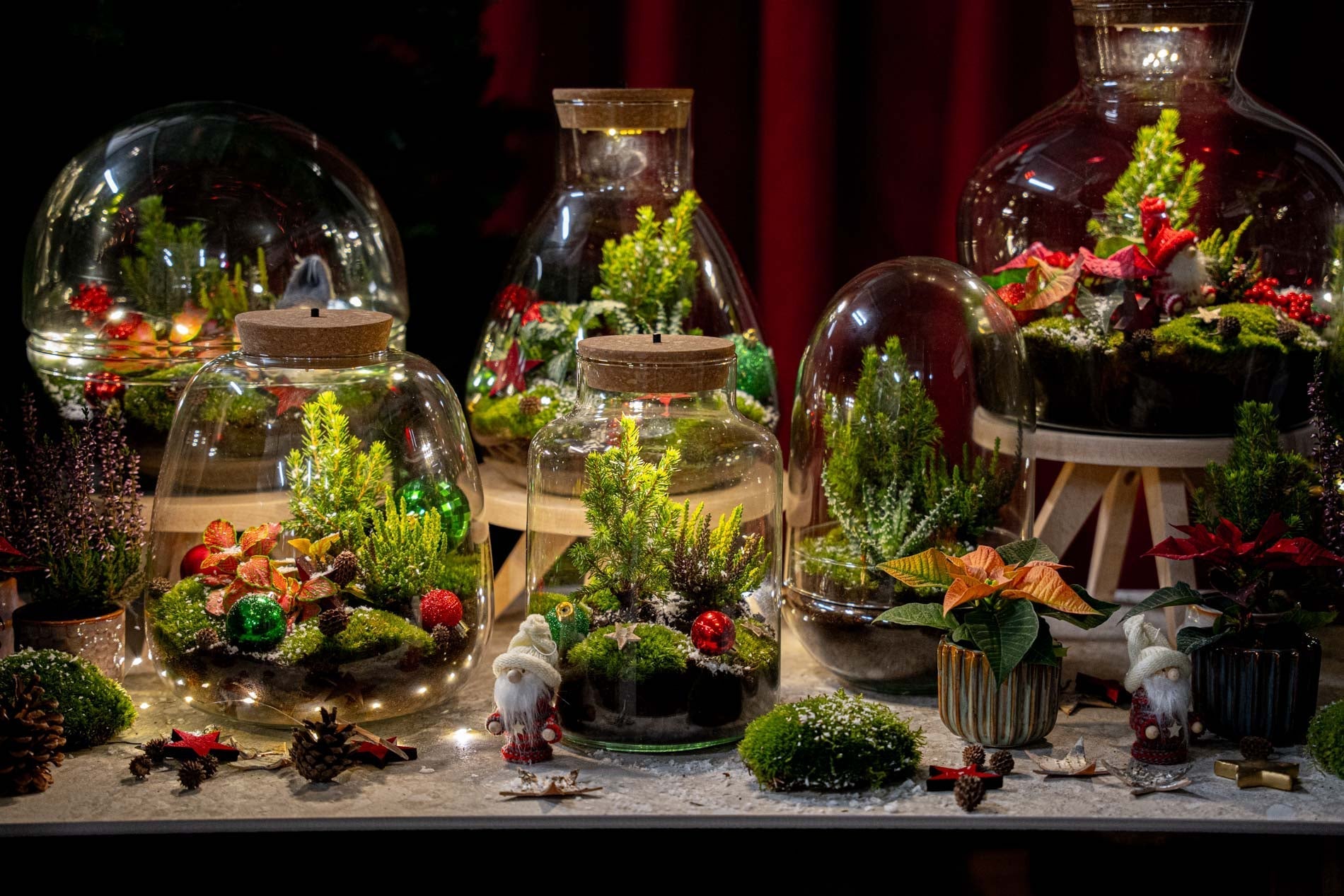Mistle Winter & Christmas terrarium - Bottle garden DIY kit - Ø 29 cm ↑ 30