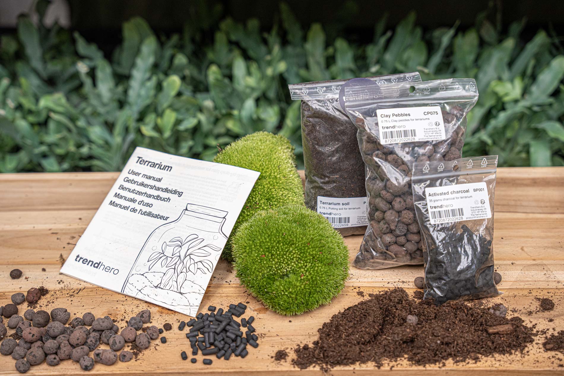 Terrarium Package  – Refill & Starter Package  – DIY Terrarium Kit – Size S/M