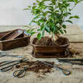 Bonsai Root Hook 20.5 cm – Precision Bonsai Tool